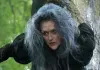 Into the Woods