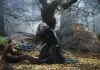 Into the Woods