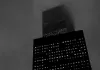 Blank City