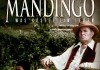 Mandingo