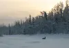 Happy People: Ein Jahr in der Taiga