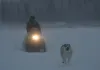 Happy People: Ein Jahr in der Taiga