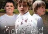 MansFeld - Plakat