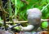 Slow - Langsam ist das neue Schnell - Ein Schnecken-Tag