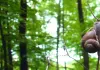Slow - Langsam ist das neue Schnell - Ein Schnecken-Tag
