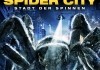 Spider City