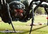Big Ass Spider
