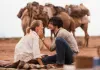 Spuren - Robyn Davidson (Mia Wasikowska) und Rick...äher.