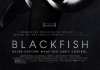 Blackfish <br />©  Magnolia Pictures