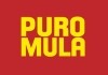 Puro Mula <br />©  Cine Global Filmverleih