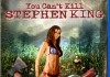 You Can't Kill Stephen King