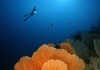Magic Of Big Blue - Geheimnisse der Ozeane