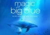 Magic Of Big Blue - Geheimnisse der Ozeane