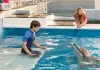 Mein Freund der Delfin 2 - NATHAN GAMBLE als Sawyer...INTER