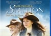 Midnight Stallion - Der Knig der Pferde