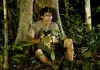 A Floresta de Jonathas - Im dunkeln Grün