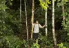 A Floresta de Jonathas - Im dunkeln Grün