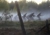 1939 Battlefield Westerplatte - The Beginning of...War 2