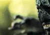 Rise of the Fellowship - Der Herr des Rollenspiels