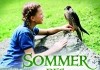Der Sommer des Falken