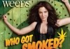 Weeds <br />©  Showtime Networks