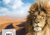 Faszination Wste: Namib - Die lteste Wste der Welt