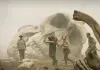 Kong: Skull Island - Brie Larson, John C. Reilly,...eston