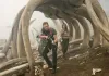Kong: Skull Island