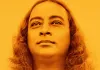 Awake - Das Leben von Yogananda <br />©  mindjazz pictures