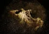 The Pyramid - Grab des Grauens