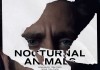 Nocturnal Animals - Jake Gyllenhaal