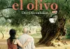 Der Olivenbaum <br />©  Piffl Medien