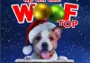 Up On the Wooftop