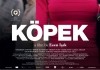 Kpek - Geschichten aus Istanbul <br />©  Gmfilms