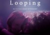 Looping <br />©  Salzgeber & Co