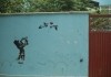 National Bird - Graffiti an einer Wand in Kabul,...2015