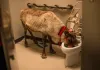Office Christmas Party