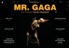 Mr. Gaga <br />©  farbfilm verleih