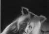 The Mansion of the Ghost Cat