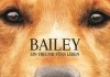 Bailey - Ein Freund frs Leben <br />©  Universal Pictures International Germany