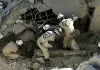 Die letzten Männer von Aleppo