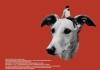 Selbstkritik eines buergerlichen Hundes <br />©  faktura film