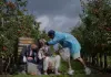 Selbstkritik eines buergerlichen Hundes - Kyung-Taek...rksen