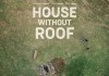 Haus ohne Dach