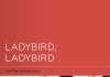 Ladybird Ladybird <br />©  Arthaus
