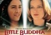 Little Buddha <br />©  Jugendfilm