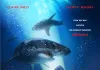 47 Meters Down <br />©  Universum Film