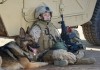 Sergeant Rex - Nicht ohne meinen Hund - Kate Mara