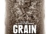 Grain - Weizen <br />©  Piffl Medien