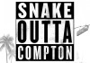 Snake Outta Compton <br />©  Splendid Film